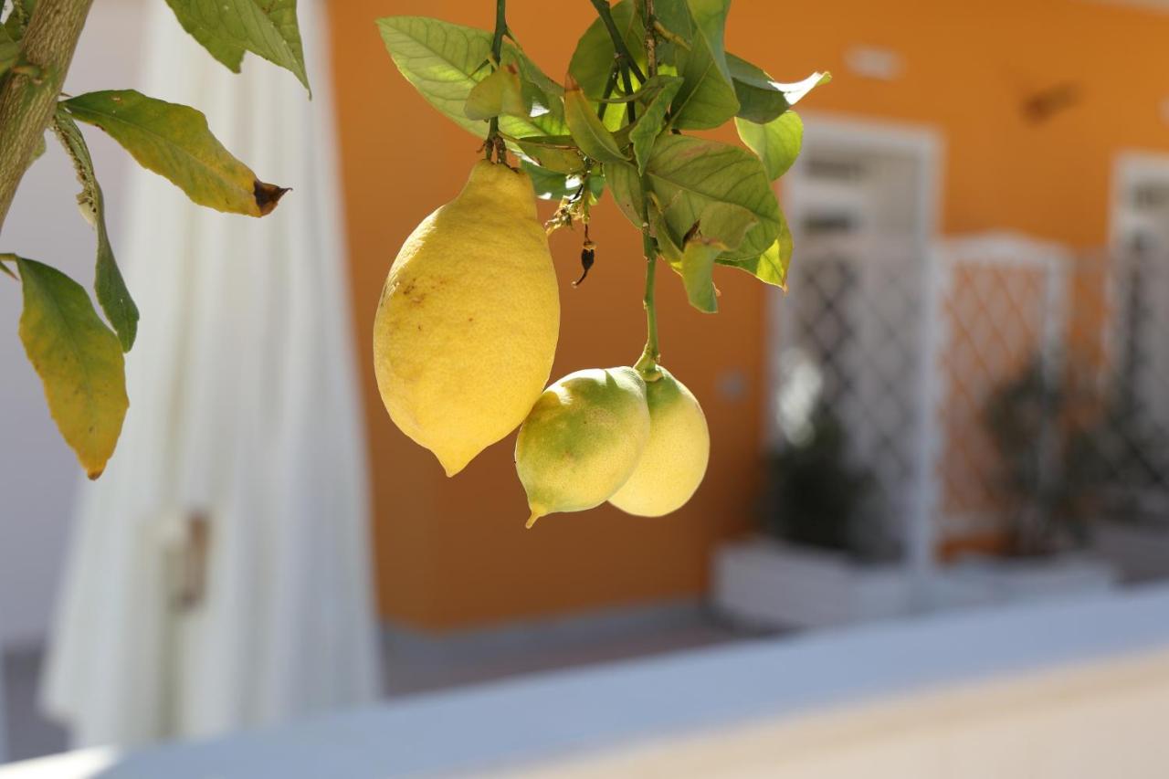 Casa Vacanze Il Gigante Comfort A Due Passi Dalla Valle Dei Templi Agrigento Bagian luar foto